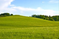 Magical field wallpaper meditation and relaxing picture royalty free stock images Magical field wallpaper meditation and relaxing picture royalty free stock images