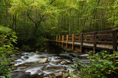 Great Smoky Mountains national park