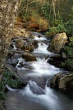Great Smoky Mountains National Park Stock Image