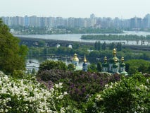 Great view in the botanical garden royalty free stock photos Great view in the botanical garden royalty free stock photos