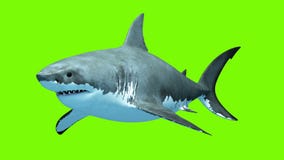 planet earth sharks 3d planet earth sharks 3d
