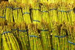 Green Asparagus royalty free stock images Green Asparagus royalty free stock images