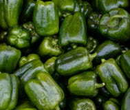 Green bell pepper. Diet and vegetarian meals.