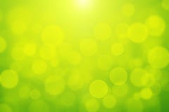 Green Bokeh Abstract Light Background Blurly White Bokeh On Yellow And Green Background Stock Photo Green Bokeh Abstract Light Background Blurly White Bokeh On Yellow And Green Background Stock Photo