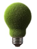Green Bulb Stock Image