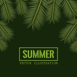 Green color background with side border decorative palm leaves and rectangular frame with summer text Royalty Free Stock Image Green color background with side border decorative palm leaves and rectangular frame with summer text Royalty Free Stock Image