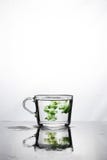 Green color dissolves in a cup of water on a white background.The mug is reflected on the wet surface. At the top there is space royalty free stock image Green color dissolves in a cup of water on a white background.The mug is reflected on the wet surface. At the top there is space royalty free stock image