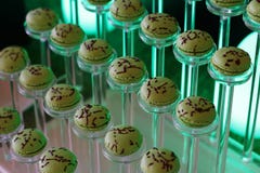 Green color french macaroons tower royalty free stock images Green color french macaroons tower royalty free stock images