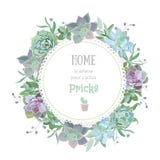 Green colorful succulent Echeveria vector design round card. royalty free illustration Green colorful succulent Echeveria vector design round card. royalty free illustration