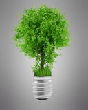 Green Eco Energy Concept Stock Photo