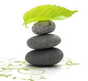 Green environment royalty free stock photo Green environment royalty free stock photo