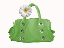 Green Female Bag With Flower Stock Images Green Female Bag With Flower Stock Images