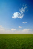 Green Field Royalty Free Stock Photo Green Field Royalty Free Stock Photo