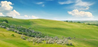 Green field and blue sky royalty free stock photos Green field and blue sky royalty free stock photos