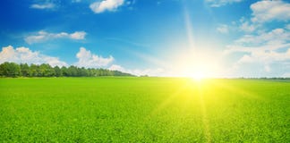 Green field and sun rise in the blue sky. Wide photo. stock photos Green field and sun rise in the blue sky. Wide photo. stock photos