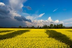 Green Field Under White and Blue Clouds during Daytime Royalty Free Stock Photos Green Field Under White and Blue Clouds during Daytime Royalty Free Stock Photos
