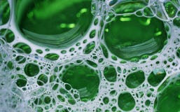 Green Foam Stock Images