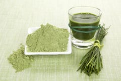 Green food supplements. Stock Image Green food supplements. Stock Image