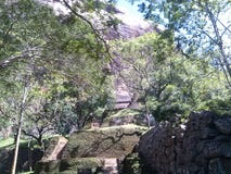 Sigiriya climbing satires between trees stock photo Sigiriya climbing satires between trees stock photo