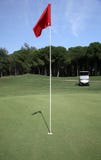 Green golf course , vertical