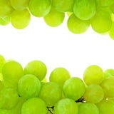 Green Grapes Stock Photography