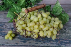 Green grapes royalty free stock photo Green grapes royalty free stock photo