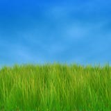 Green Grass And Blue Sky Stock Image