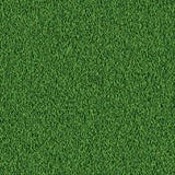 Green Grass Background Royalty Free Stock Photography