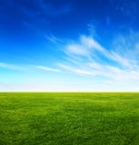 Green Grass Field And Bright Blue Sky Stock Photo