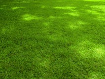 Green grass field background, texture, pattern stock photo Green grass field background, texture, pattern stock photo