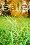 Green Grass On A Meadow With A Word Stock Images