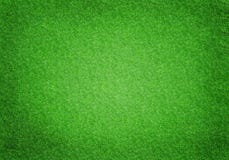Green Grass Top View stock image Green Grass Top View stock image