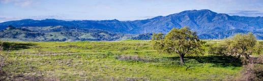 Green hills in south San Francisco bay area, Santa Cruz mountains in the background, San Jose, California stock photography Green hills in south San Francisco bay area, Santa Cruz mountains in the background, San Jose, California stock photography