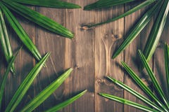 Green Ieaf background around old wood with space, Vintage toned. Royalty Free Stock Photo Green Ieaf background around old wood with space, Vintage toned. Royalty Free Stock Photo
