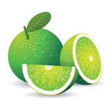 Green lemon royalty free illustration Green lemon royalty free illustration