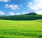 Green Meadow In Mountain Stock Photography