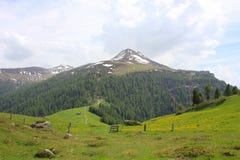 Green Meadow With Yellow Flowers And Muttener Horn, Mountain In Switzerland Royalty Free Stock Photo