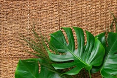 Green Palm And Tropical Monstera Leaves On Rattan Background. Bamboo Texture. Natural, Clean, Fresh Concept Royalty Free Stock Image