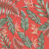 Green palm leaves brown tropical flowers seamless trendy coral b royalty free illustration Green palm leaves brown tropical flowers seamless trendy coral b royalty free illustration