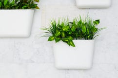 Green plants in white pots on the wall, vertical gardening in the interior stock image Green plants in white pots on the wall, vertical gardening in the interior stock image