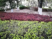 Green red road in early spring stock images Green red road in early spring stock images