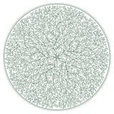 Green rosette with tree branches and foliage ornament isolated on white background royalty free illustration Green rosette with tree branches and foliage ornament isolated on white background royalty free illustration