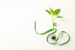 Green sprout with tape on light background, space for text. Environmental protection stock photos Green sprout with tape on light background, space for text. Environmental protection stock photos