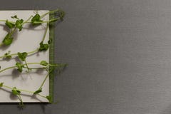 Spring notebook stock images Spring notebook stock images