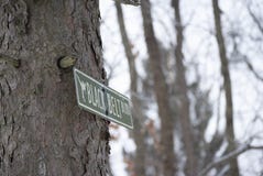 Street sign on the side of a tree in winter stock image Street sign on the side of a tree in winter stock image