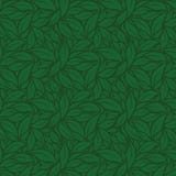 Green summer leaves. vector green pattern royalty free illustration Green summer leaves. vector green pattern royalty free illustration