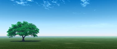 Green_Tree_P Stock Image