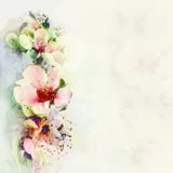 Greeting Floral Card With Bright Spring Flowers Stock Image Greeting Floral Card With Bright Spring Flowers Stock Image