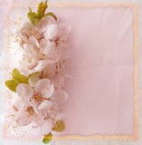 Greeting Floral Card With Cherry Flowers Stock Photography Greeting Floral Card With Cherry Flowers Stock Photography