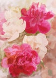 Greeting Floral Card With Peony Royalty Free Stock Image Greeting Floral Card With Peony Royalty Free Stock Image